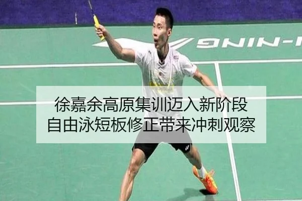 徐嘉余高原集训迈入新阶段 自由泳短板修正带来冲刺观察